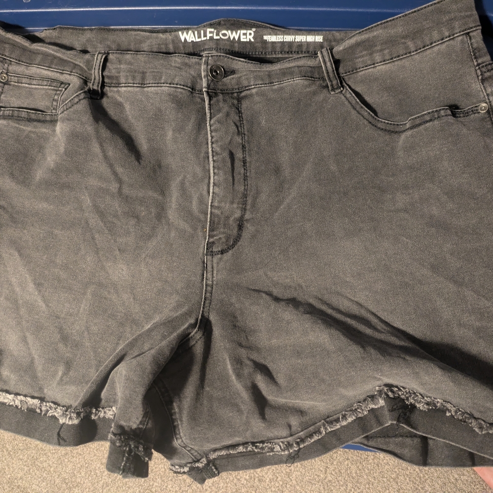Wallflower Gray Jean Shorts Distressed Casual
